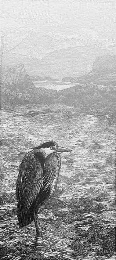 Wood engravings