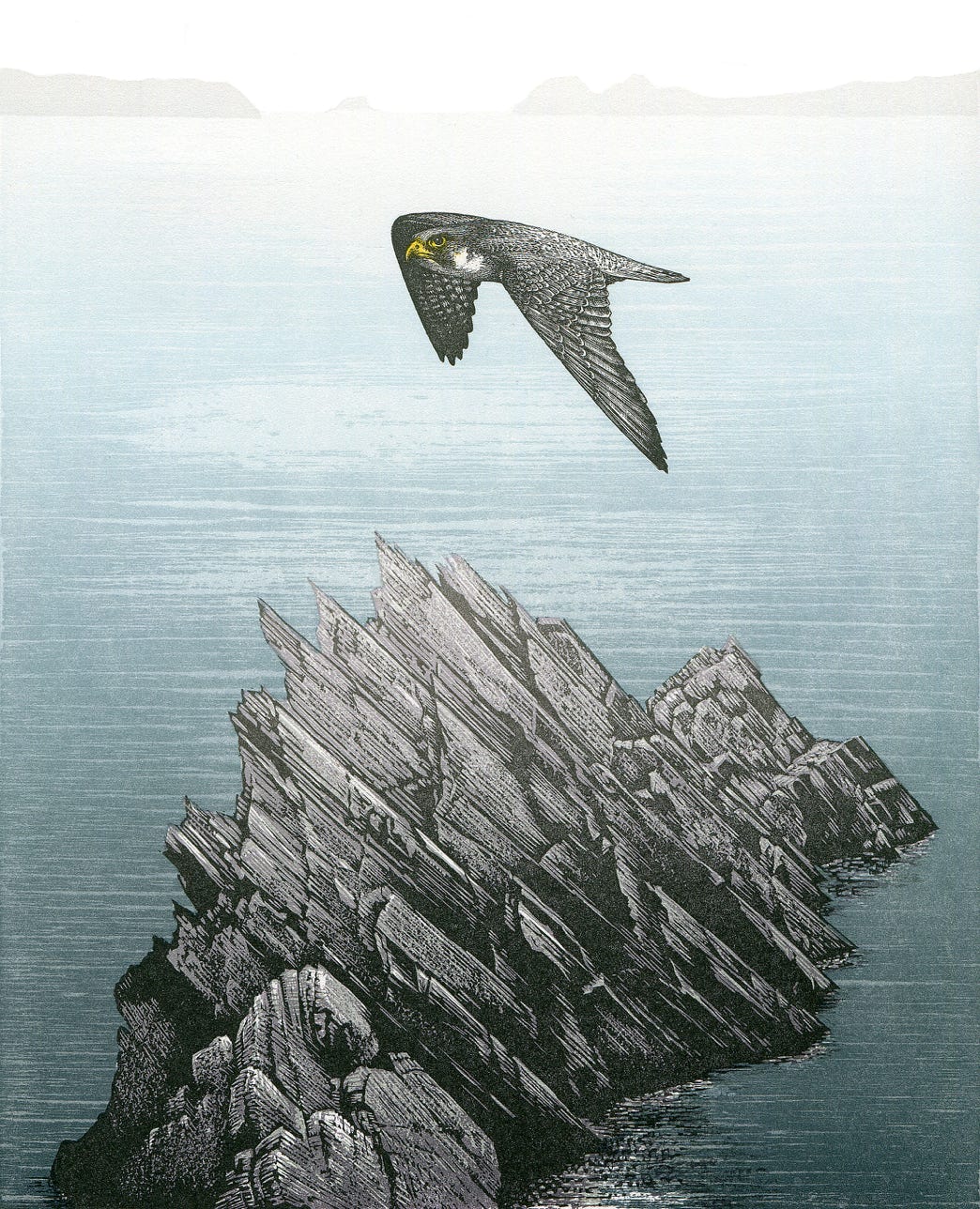 relief print