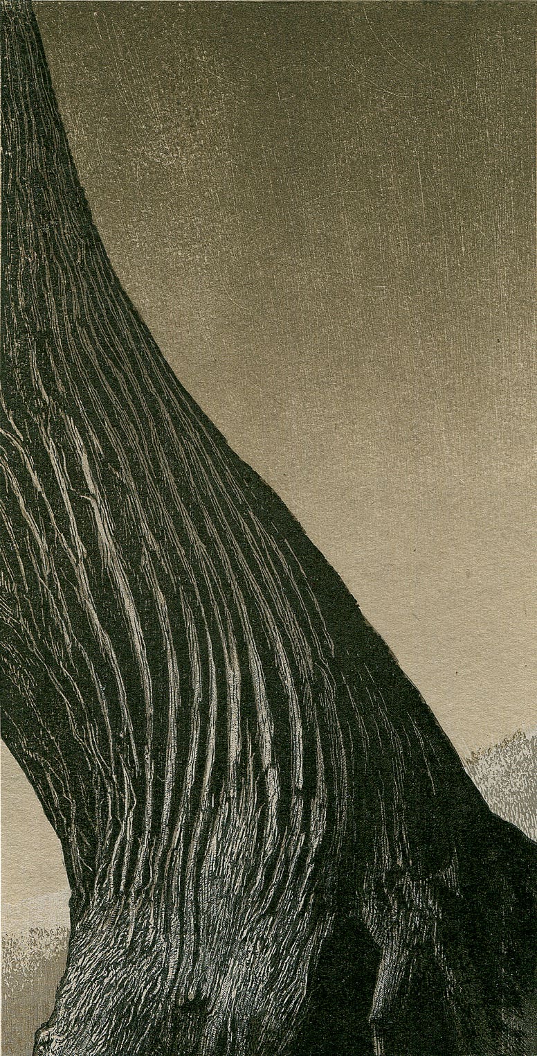 relief print