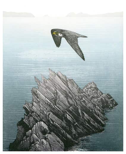 relief print