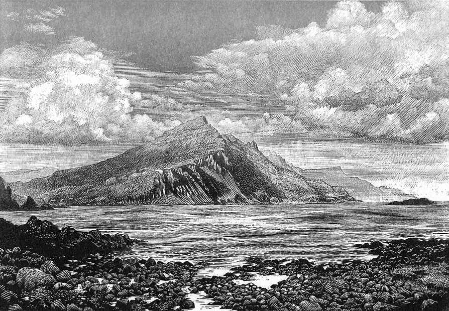 Wood engravings