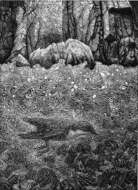 Wood engravings