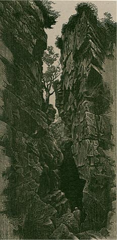 Wood engraving