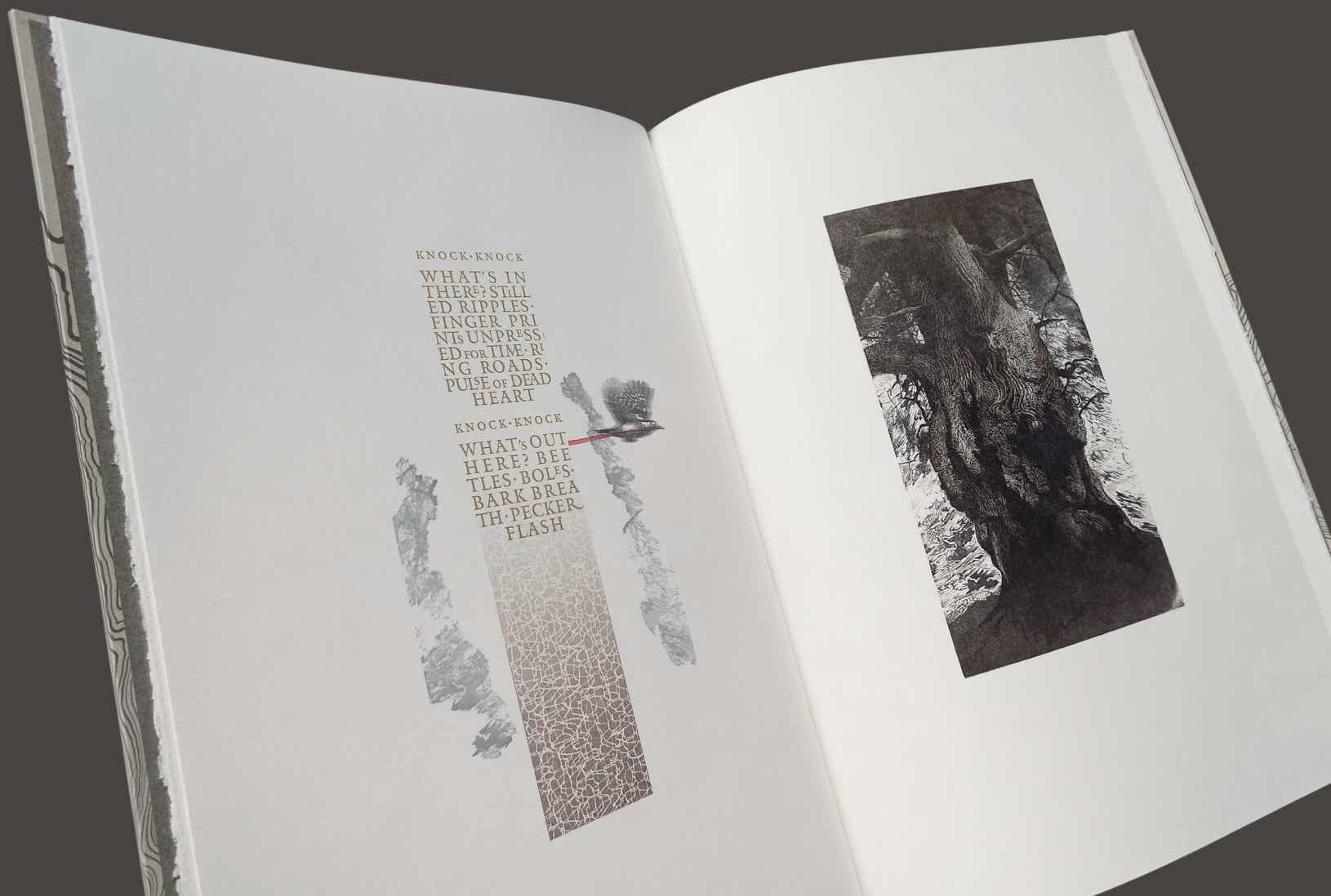Page spread