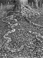 Wood engraving