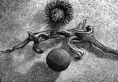 Wood engraving