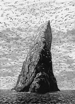 Wood engraving