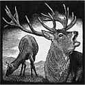 Wood engraving