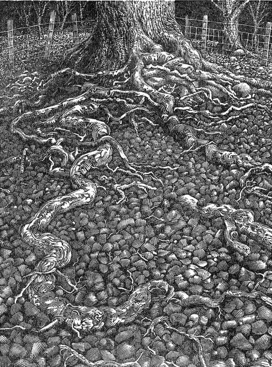 Wood engraving