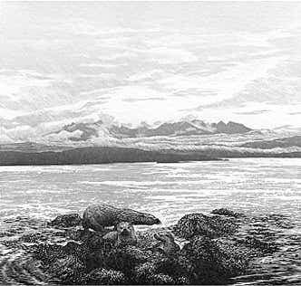 Wood engraving