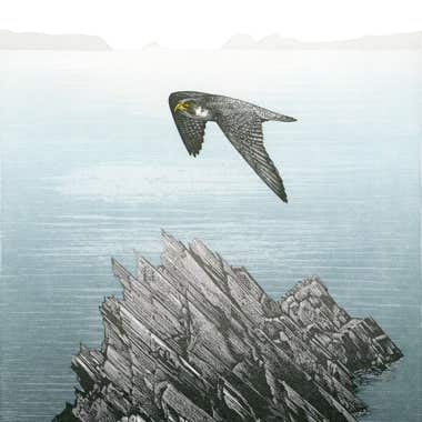 Relief print