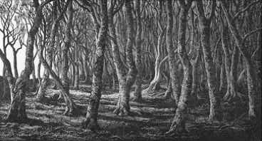 Wood engraving