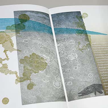 Part of an page opening of Flow