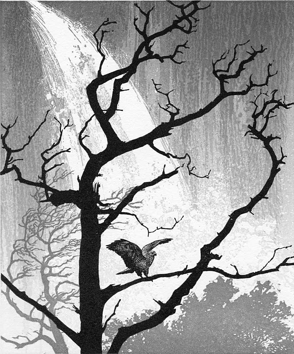 relief print