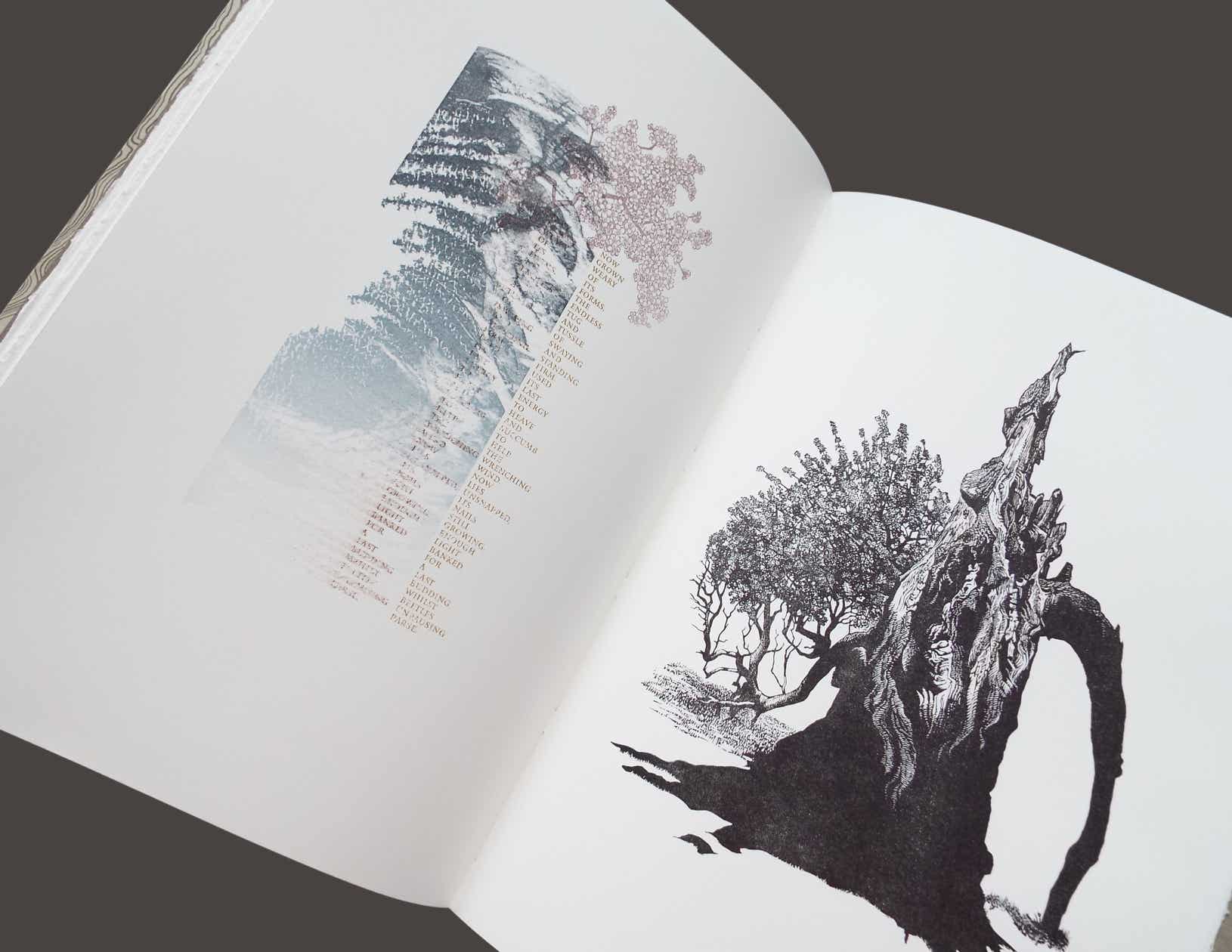 Page spread