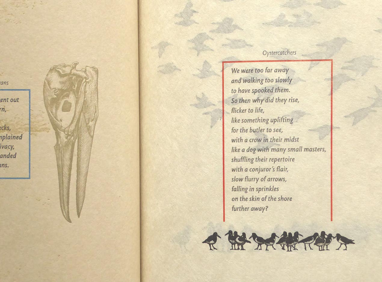 Page detail