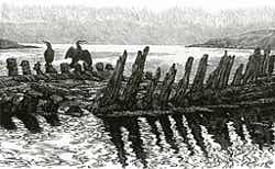 Wood engraving